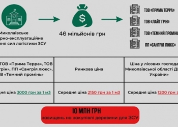 На Миколаївщині на деревині для ЗСУ «напиляли» більше 10 млн.грн. – дослідження