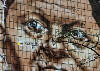 В Україні з’явився рекордний мурал із Залужним (ФОТО)