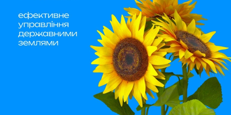 Вже цього року ФДМУ запустить Земельний банк: скільки земель на Миколаївщині туди буде передано на першому етапі