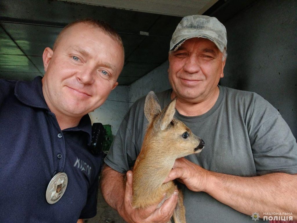 На Миколаївщині поліцейські врятували косуленя - від собак (ФОТО) 2