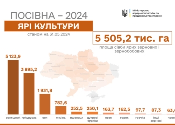 Аграрії України засіяли понад 98% площ зернових та зернобобових
