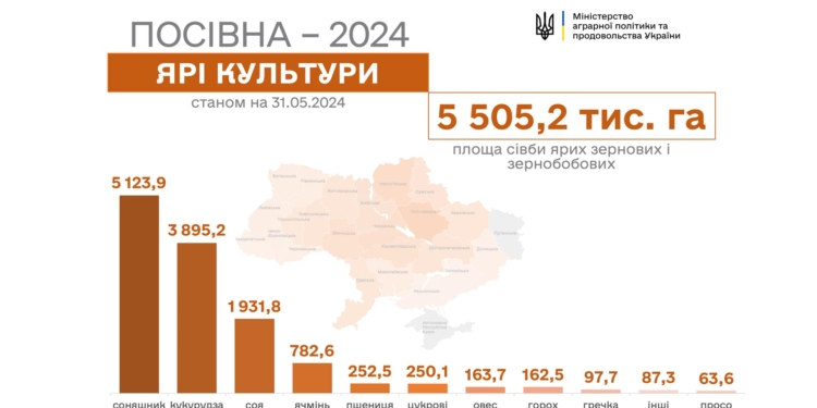Аграрії України засіяли понад 98% площ зернових та зернобобових