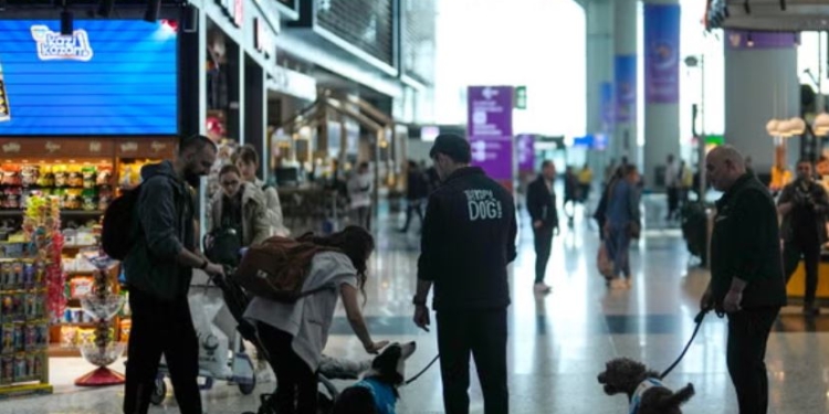 В Стамбулі затримали вантаж з 1500 скорпіонами і павуками – у контрабанді звинувачують науковця із США