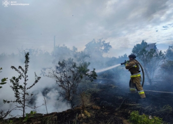 На Миколаївщині за добу загасили 17 різних пожеж (ФОТО)