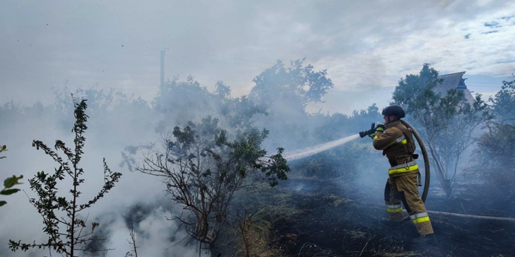 На Миколаївщині за добу загасили 17 різних пожеж (ФОТО)