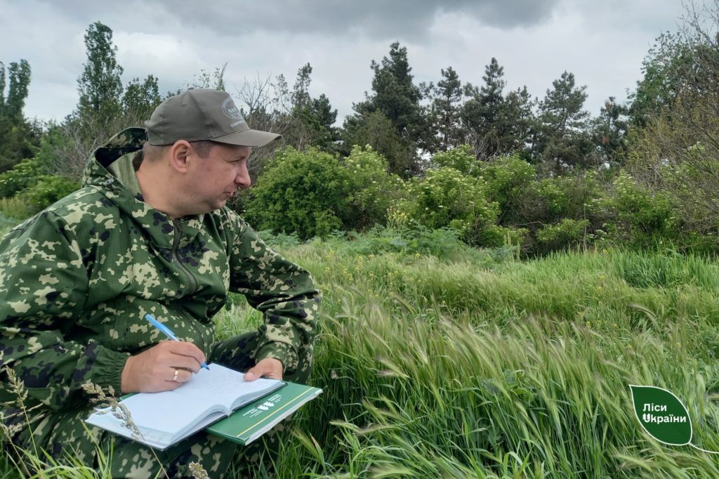 На Миколаївщині знайшли ще 854 га землі, де можна висадити ліси (ФОТО) 3