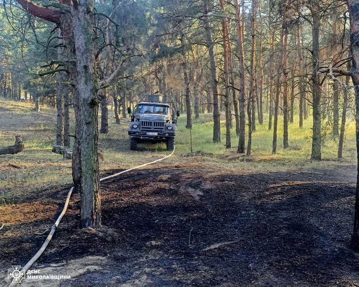 Під Миколаєвом - масштабна пожежа в лісі (ФОТО, ОНОВЛЕНО) 4