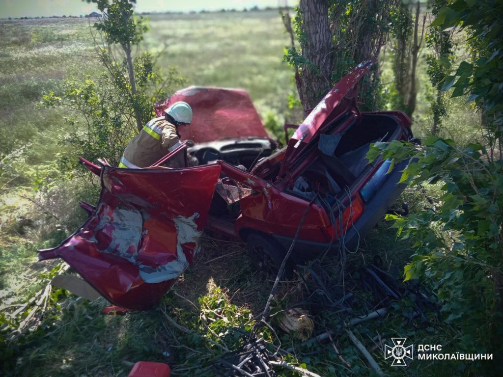 В Лиманах біля Миколаєва ВАЗ вилетів у кювет, водія вирізали рятувальники (ФОТО) 4