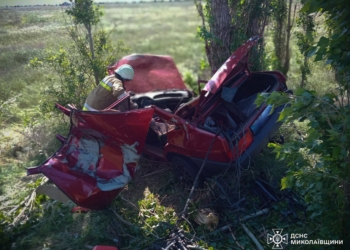 В Лиманах біля Миколаєва ВАЗ вилетів у кювет, водія вирізали рятувальники (ФОТО)