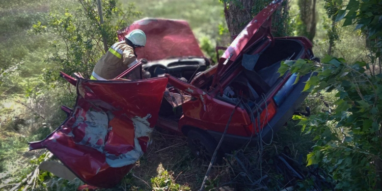 В Лиманах біля Миколаєва ВАЗ вилетів у кювет, водія вирізали рятувальники (ФОТО)