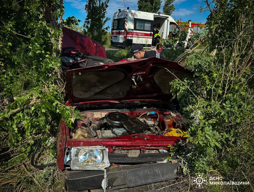 В Лиманах біля Миколаєва ВАЗ вилетів у кювет, водія вирізали рятувальники (ФОТО) 6