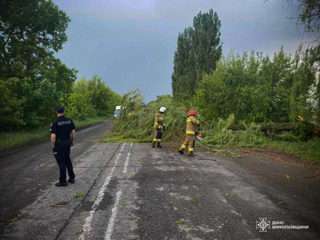 На Миколаївщині негода валила дерева – прибирали рятувальники (ФОТО) 8