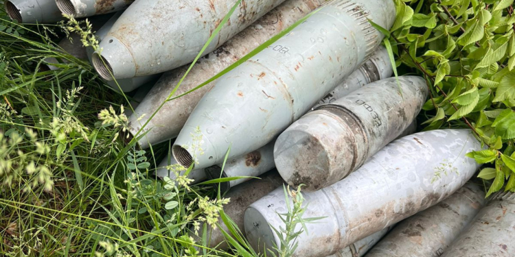 На Миколаївщині ліквідували молоде злочинне угруповання, яке продавало трофейну зброю (ФОТО)