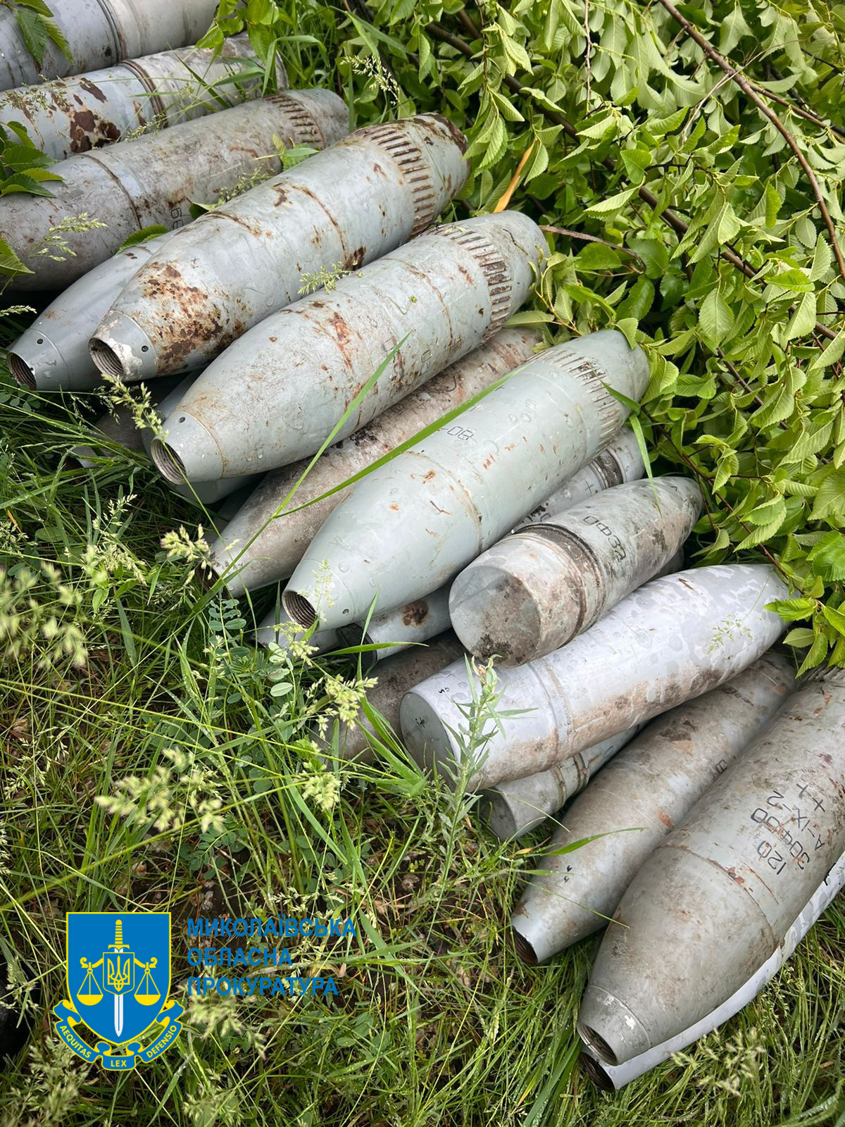 На Миколаївщині ліквідували молоде злочинне угруповання, яке продавало трофейну зброю (ФОТО)