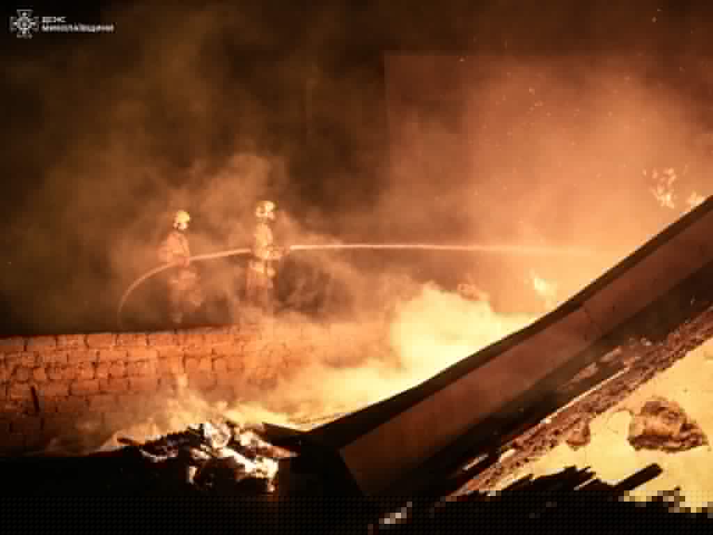 ДСНС ліквідувало пожежу на деревообробному підприємстві у Миколаєві (ФОТО) 8