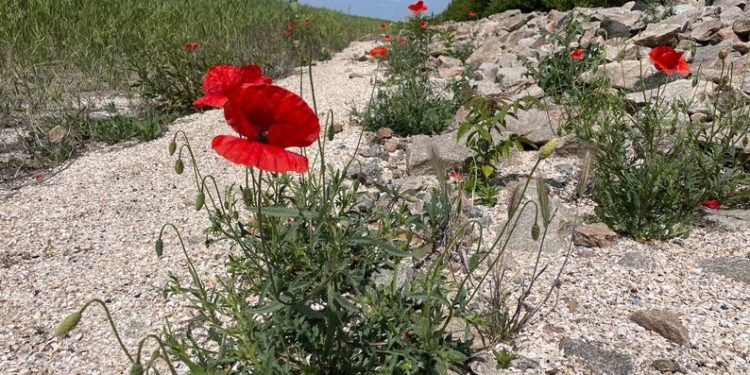 Такого немає ніде в світі. Що зараз на місці Каховського водосховища (ФОТО, ВІДЕО)