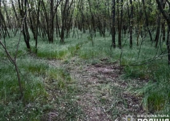 На Миколаївщині дівчину зґвалтували під час пробіжки. Кривдника затримали