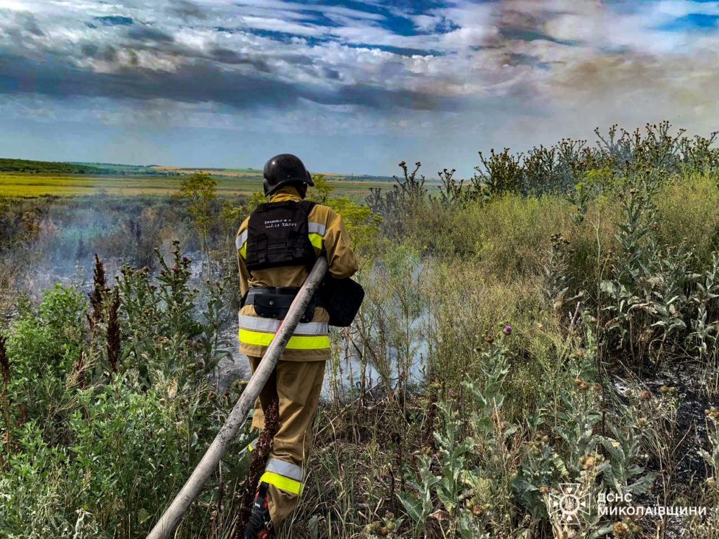 На Миколаївщині вигоріло 9 га відкритих територій, але вогнеборцям вдалось врятувати 11 га пшениці (ФОТО) 2