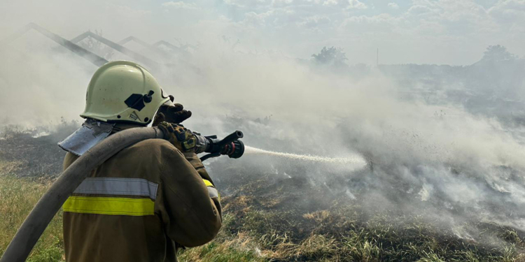 Вигоріло 2 га: пожежу сухостою у Балабанівці гасили вогнеборці двох районів Миколаєва (ФОТО)