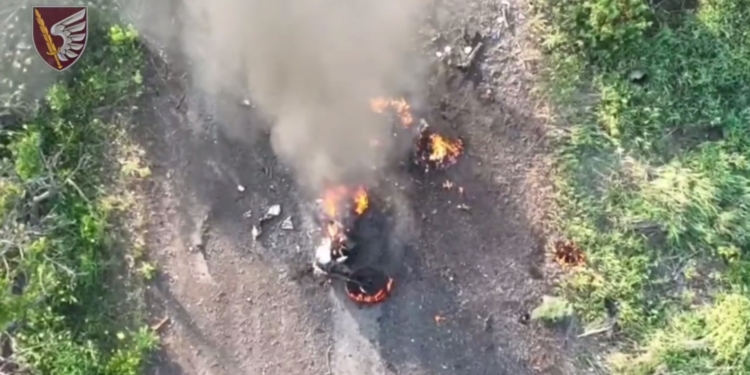 Highway to Hell: як пілоти дронів миколаївської «79-ки» ліквідовують живу силу противника (ВІДЕО)