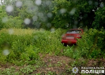На Миколаївщині чоловік викрав автівку та кинув її у полі
