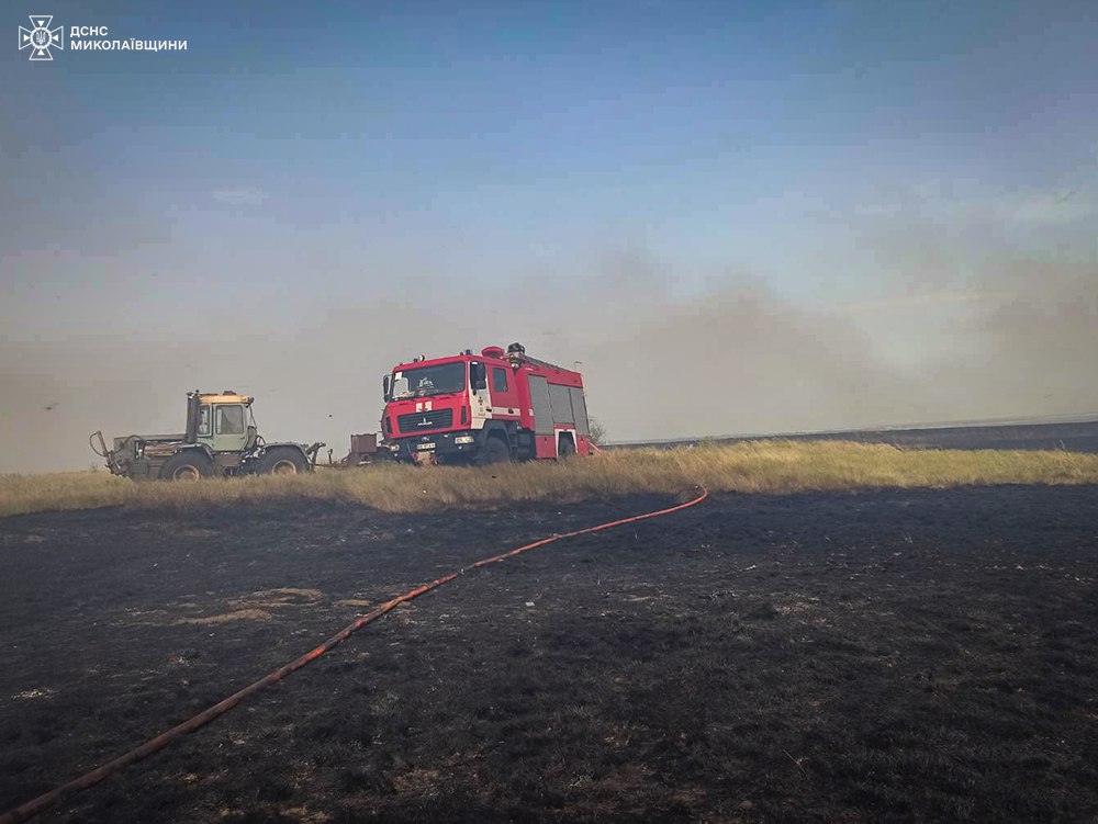 На Миколаївщині за добу гасили 11 пожеж - горіло на 16 га. Де саме (ФОТО, ВІДЕО) 1