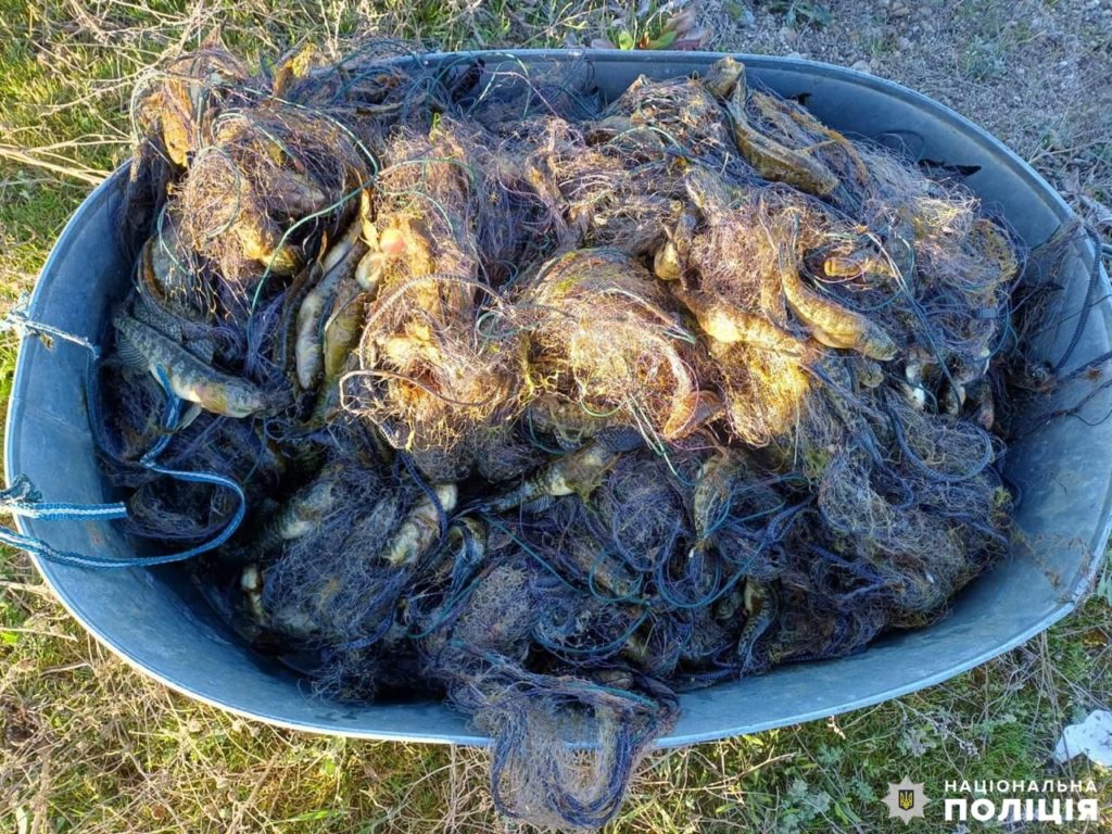На Миколаївщині браконьєр може сісти на 3 роки за 750 бичків (ФОТО) 1