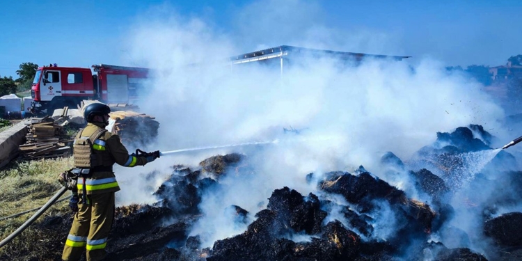 На Миколаївщині протягом доби горіло на 20 га (ФОТО)