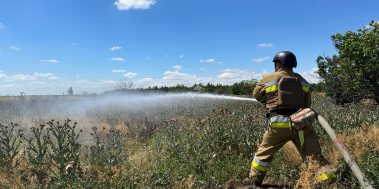 За добу на Миколаївщині вигоріло понад 10,5 га відкритих територій. Горів через підпал і ліс (ФОТО)