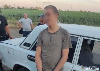 Сів у Миколаєві в чужий ВАЗ і поїхав у Снігурівку – не на гульки, на роботу