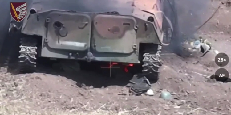 Миколаївські десантники методично нищать окупантів в районі Новомихайлівки (ВІДЕО)