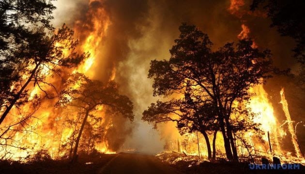 Російські окупанти шкідливі і для природи: на Кінбурнській косі з початку вторгнення внаслідок обстрілів вже було 253 пожежі