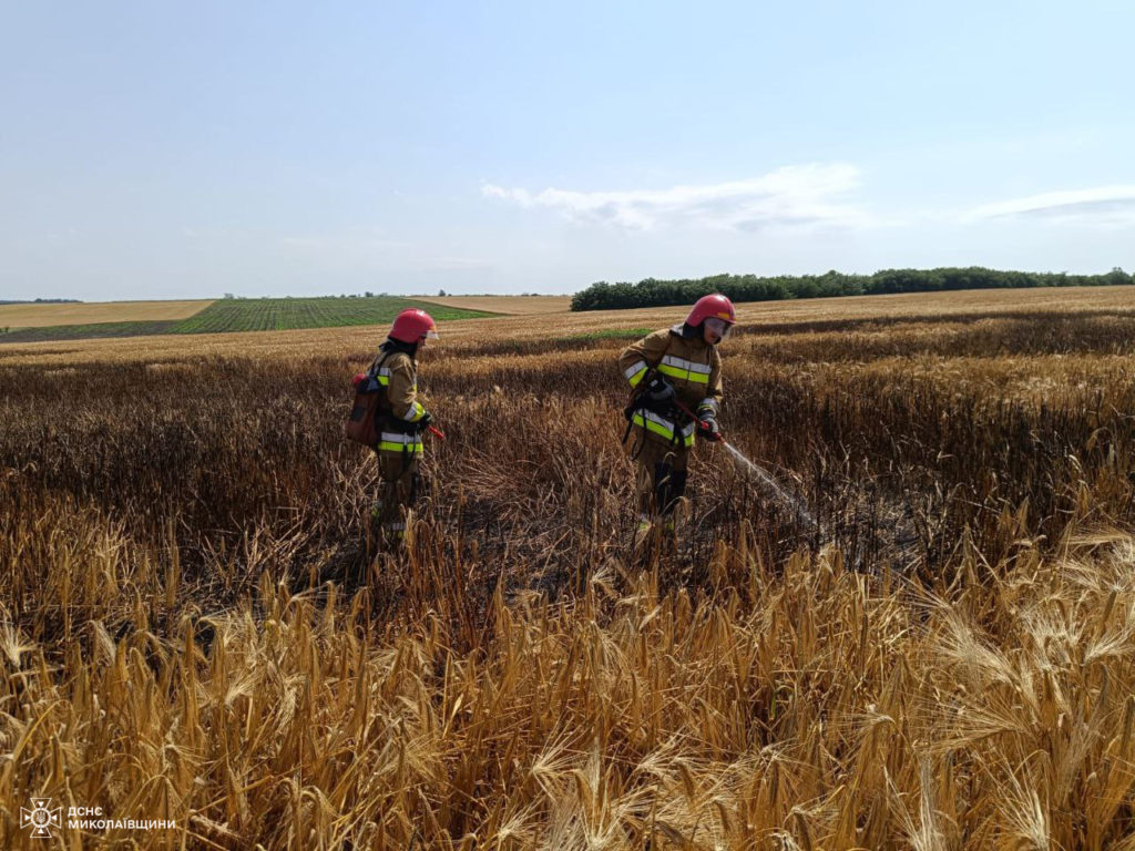 На Миколаївщині займання сухої трави призвело до пожежі ячменю на корені (ФОТО) 2