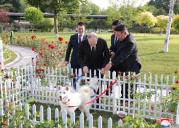 Від себе відірвав. Кім Чен Ин подарував Путіну пару собак породи пунгсан (ВІДЕО)