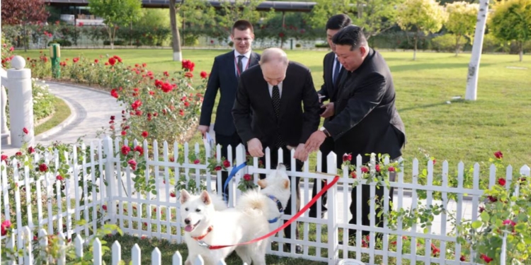 Від себе відірвав. Кім Чен Ин подарував Путіну пару собак породи пунгсан (ВІДЕО)