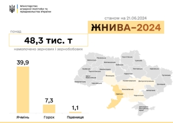 У шести областях України розпочались жнива – на Миколаївщині також
