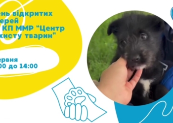 У Миколаєві «Центр захисту тварин» запрошує містян на День відкритих дверей