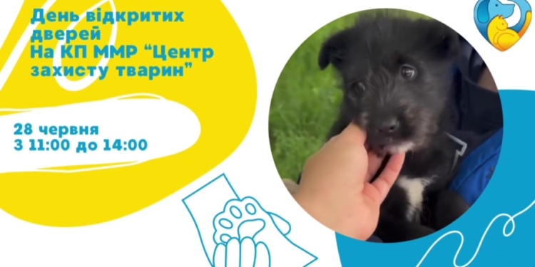 У Миколаєві «Центр захисту тварин» запрошує містян на День відкритих дверей