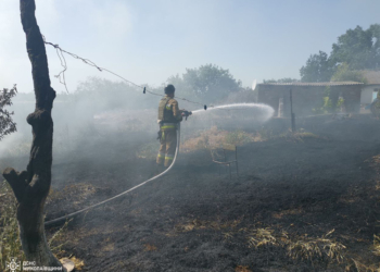 За добу на Миколаївщині вигоріло понад 10 га відкритих територій (ФОТО)