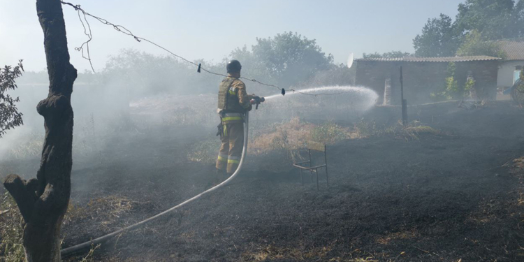 За добу на Миколаївщині вигоріло понад 10 га відкритих територій (ФОТО)