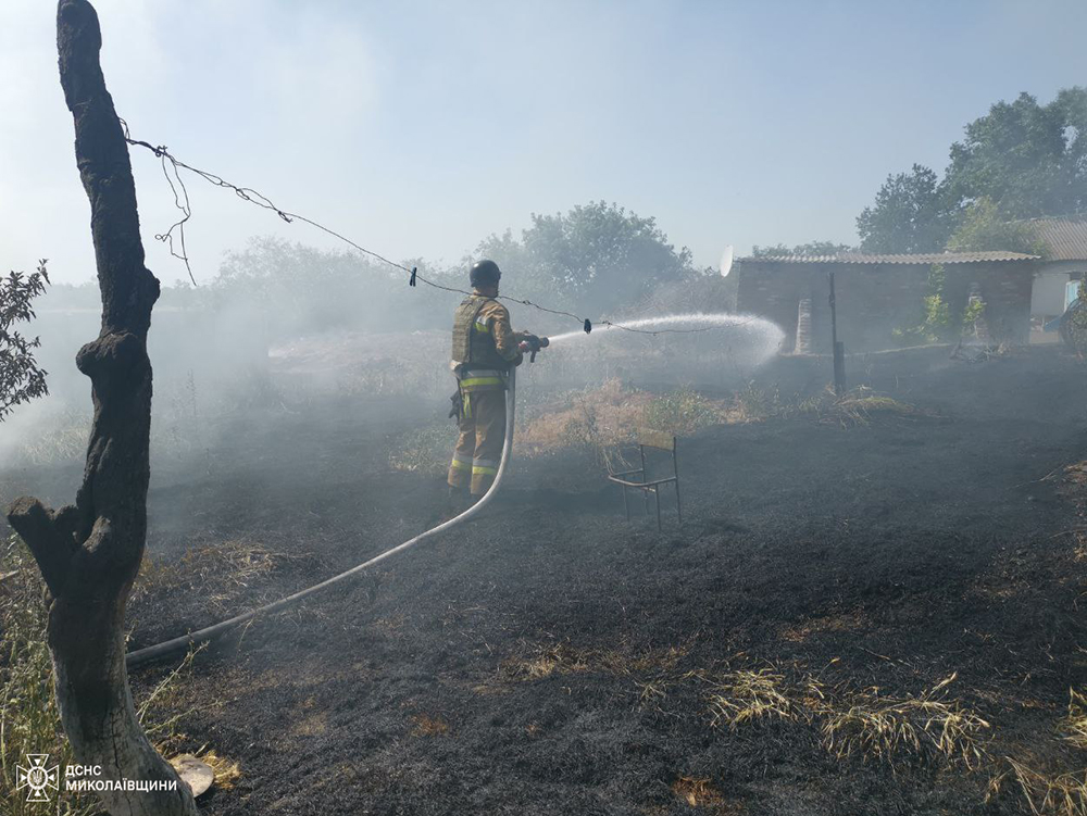 За добу на Миколаївщині вигоріло понад 10 га відкритих територій (ФОТО) 1