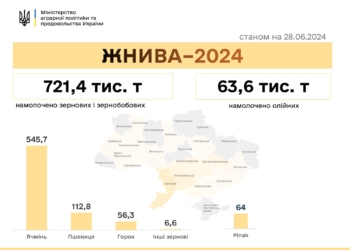 Жнива-2024: вже 16 областей збирають врожай ранніх зернових