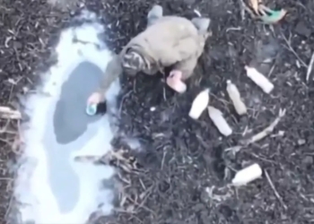 Російські загарбники на Херсонщині хворіють на тиф і холеру, – Bild