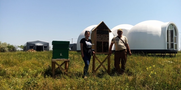 В РЛП «Тилігульський» на Миколаївщині з’явився готель для комах