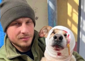 Котлета проти Кракена. У Дніпрі охорона нардепа побила військового. Реакція підрозділу (ФОТО, ВІДЕО)