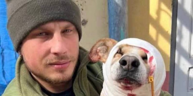 Котлета проти Кракена. У Дніпрі охорона нардепа побила військового. Реакція підрозділу (ФОТО, ВІДЕО)