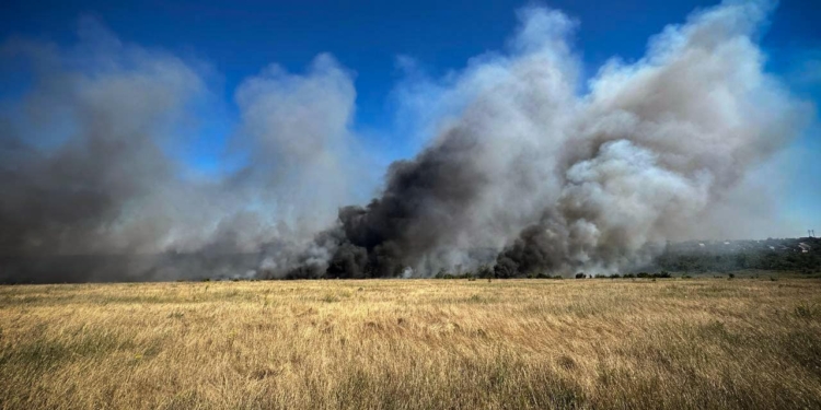 Три масштабні пожежі загасили у Миколаївському районі Миколаївщини – вигоріло 30 га з зерновими на корені (ФОТО)