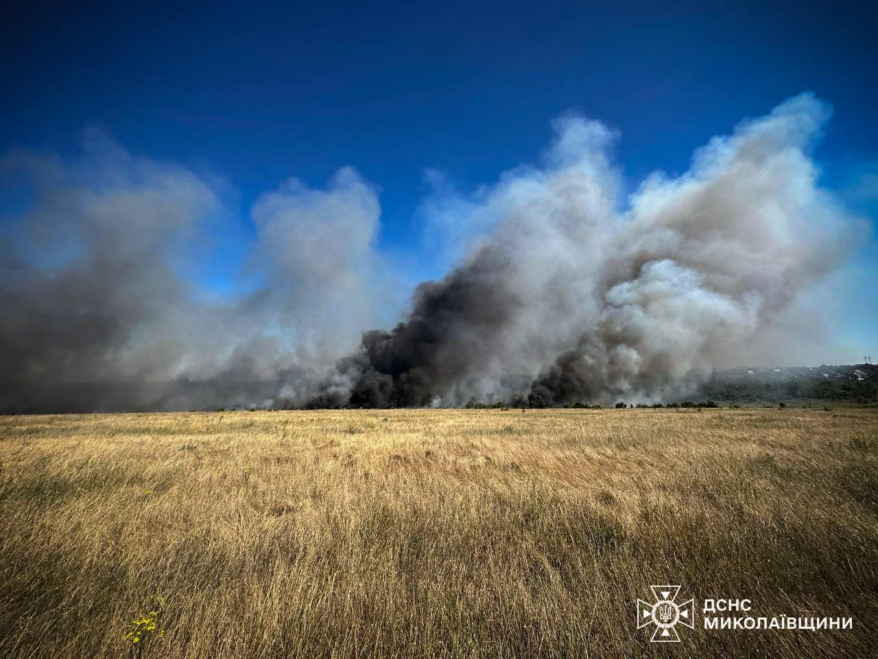 Три масштабні пожежі загасили у Миколаївському районі Миколаївщини – вигоріло 30 га з зерновими на корені (ФОТО)