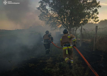 За добу на Миколаївщині виникла 31 пожежа, 2 з них – через російські обстріли (ФОТО)