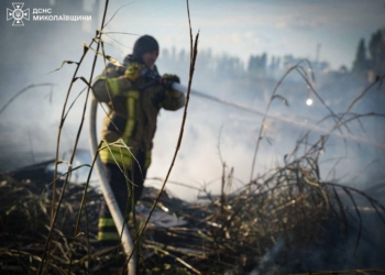 Вогонь намагався дістатись баз відпочинку у Коблево: на Миколаївщині загасили масштабну пожежу (ФОТО)